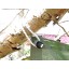 300mm Ball Tie Bungee 10pk